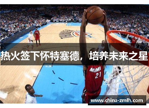 热火签下怀特塞德，培养未来之星